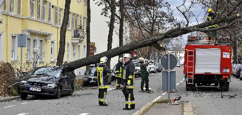 Firemen remove a tree brought down by heavy storm in Frankfurt February 28, 2010. The severe storm &apos;Xynthia&apos; that swept through much of France brought about damage in parts of Germany. [Xinhua/AFP]