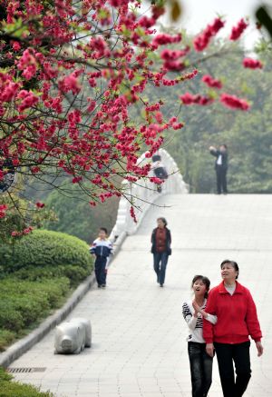 Tourists admire peach blossoms in Guilin, southwest China's Guangxi Province, at a sunny spring day on Feb. 26, 2010.[Xinhua/Chen Ruihua]