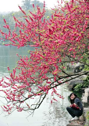 A woman admires peach blossoms in Guilin, southwest China's Guangxi Province, at a sunny spring day on Feb. 26, 2010.[Xinhua/Chen Ruihua] 