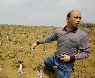 Continual drought hits SW China