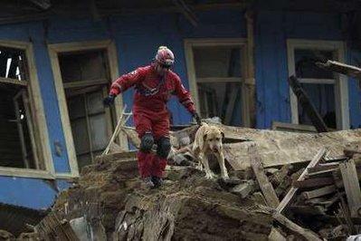 A rescue worker searches for survivors after a major earthquake in Constitucion March 1, 2010. 