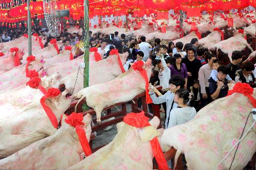 Visitors enjoy their time when walking between lanes of pigs on display during a local traditional folk fair named &apos;Pig Contest&apos; at Guanshan Village in Shantou City, south China&apos;s Guangdong province, March 2, 2010. [Xinhua] 