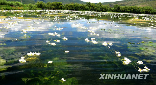 Photo taken in March, 2009 shows Dianchi, the largest freshwater lake in Yunnan Province.