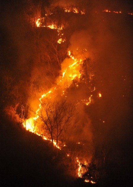 A forest fire burns in Baise, South China's Guangxi Zhuang autonomous region, March 4, 2010. [Xinhua]