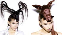 Creative animal-head hairstyles