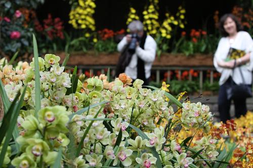 Visitors tour the 8th Annual Orchid show at the Botanical Garden in New York, the United States, March 4, 2010. The exhibition will run till April 11 with some 7,000 orchids on show. [Xinhua]
