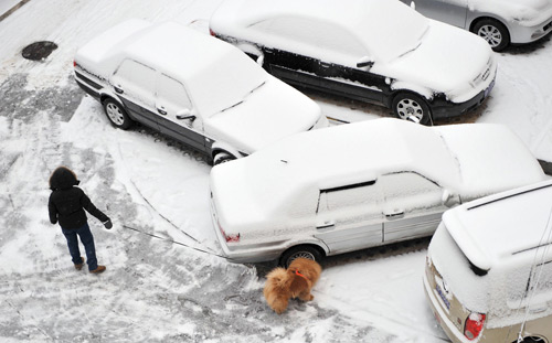 A local resident walks with her dog beside snow-coated cars in Beijing, March 8, 2010. Snowfall began hitting the Chinese capital Sunday night and is continuing to fall Monday morning. [Xinhua] 