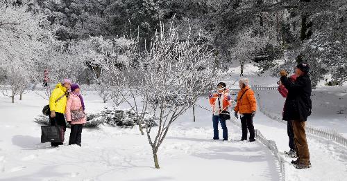 Tourists enjoy themselves in the snow at the Huajing Park on the Lushan Mountain, a famous tourist destination in east China's Jiangxi Province. Heavy snowfall hit the Lushan Mountain area on Monday and Tuesday. [Xinhua]