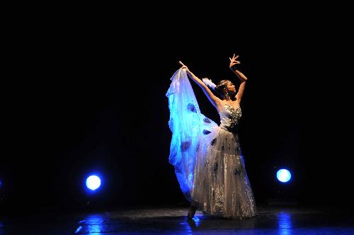 An artist from the China Disabled People's Performing Art Troupe performs 'The Soul of a Peacock' dance during the 'My Dream' show in Amman, capital of Jordan, March 8, 2010. 