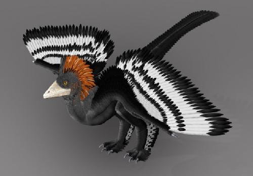 Scientists for the first time decode the full-body color pattern of a 155-million-year-old Anchiornis huxleyi, a kind of small-size beastly-foot class dinosaurs. Scientists of the Beijing Natural History Museum and those on dinosaurs, modern birds, ancient birds of the Peking University, Yale University, University of Texas and University of Akron finished the project in cooperation. [Beijing Natural History Museum]