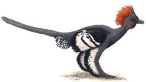 First full-body color rendering of dinosaurs