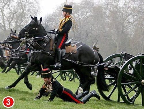 A British royal woman honor guard fell from the horse during the celebration of the 82nd birthday of Queen Elizabeth II, April 21, 2008. [huanqiu.com]