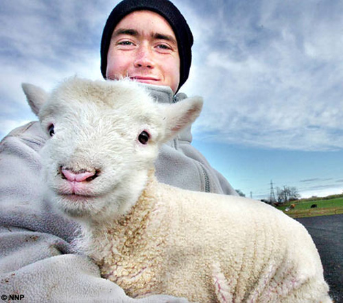 In 2007, an ewe at a farm, not far from Sunderland of UK, gave birth to a lamb earlier than the expected date for at least 2 months. This confused ewe mistook the winter for spring because of the unusual global warming! [huanqiu.com]