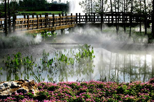  The first tulip cultural festival will take place at Beijing International Flower Port in mid-April 2010.[File Photo: bjshy.gov.cn]