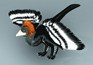 The artist's impression of Anchiornis huxleyi