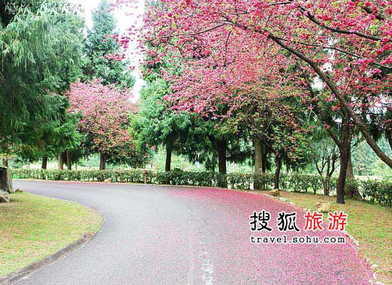  Taiwan Nantou Jiuzu Culture Village [Photo: sohu.com]