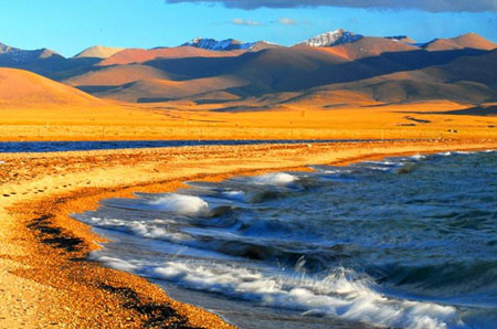 Photo shows a view of Mapham Yutso in golden autumn.(Photo: China Tibet Information Center) 