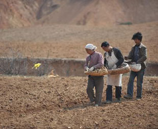 Severe drought hits SW China