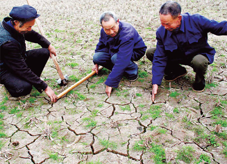 Farmers study the drought situation in Huishan village, Zhongjiang county of Southwest China’s Sichuan province, on Monday.[Qiu Haiying/China Daily]
