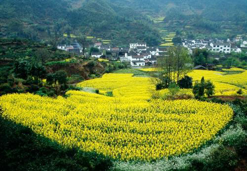 6. Loess Plateau, Shannxi Province