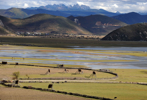 Photo taken on Oct. 20, 2009 shows the view of Shangri-la County, Tibetan Autonomous Prefecture of Deqen, southwest China's Yunnan Province, Tibetan Autonomous Prefecture of Deqen attractted more than 4 millions tourists home and abroad in 2009. [Xinhua/Lin Yiguang] 