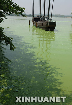 A file photo of Taihu Lake hit by devastating attack of algae in May 2007.