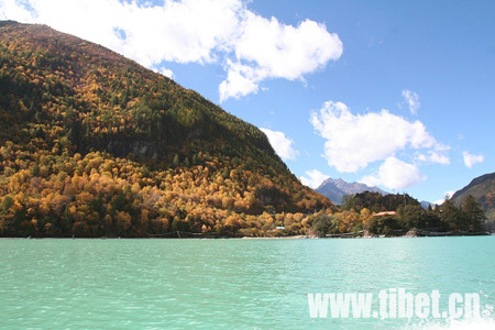 Photo taken on January 11, 2010, shows the winter senery of Nyingchi Prefecture, southwest China's Tibet Autonomous Region. [Photo: tibet.cn]