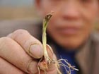 New methods help China fight drought