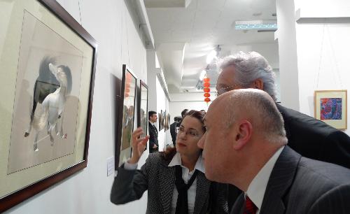 People visit an exhibition on China's Suzhou embroidery, in Ankara, capital of Turkey, March 18, 2010. Some 60 pieces of Suzhou embroidery works were on show during the exhibition. [Wang Xiuqiong/Xinhua]