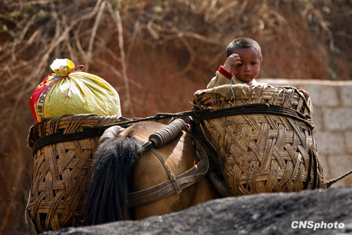 A child is on his way with his family to get drinking water in southwest China. Parts of southern China are being ravaged by a severe three-season drought. More than 20 million of people lack adequate water supplies, and millions of acres of cropland are too dry to plant.