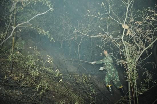  About 2,000 policemen and firefighters were mobilized Sunday to tame a fire which ravaged at least 20 hectares of forest in southwest China&apos;s Chongqing Municipality. The fire broke out at about 2:30 p.m. in Dadukou District and was continuing as of 10 p.m. [Xinhua]