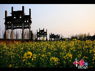 Rape flowers are in bloom in the fields and villages of east China's Anhui Province, thanks to this month's warmer weather. The sea of beautiful golden flowers gives off a pleasant smell in the sunlight and contrasts pleasantly with local houses to create a harmonious picture. [Photo by Shi Guangde]