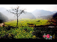 Rape flowers are in bloom in the fields and villages of east China's Anhui Province, thanks to this month's warmer weather. The sea of beautiful golden flowers gives off a pleasant smell in the sunlight and contrasts pleasantly with local houses to create a harmonious picture. [Photo by Shi Guangde]