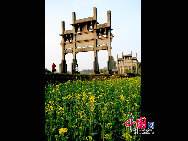 Rape flowers are in bloom in the fields and villages of east China's Anhui Province, thanks to this month's warmer weather. The sea of beautiful golden flowers gives off a pleasant smell in the sunlight and contrasts pleasantly with local houses to create a harmonious picture. [Photo by Shi Guangde]