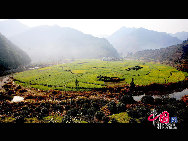 Rape flowers are in bloom in the fields and villages of east China's Anhui Province, thanks to this month's warmer weather. The sea of beautiful golden flowers gives off a pleasant smell in the sunlight and contrasts pleasantly with local houses to create a harmonious picture. [Photo by Shi Guangde]