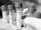 Investigation into vaccine scandal