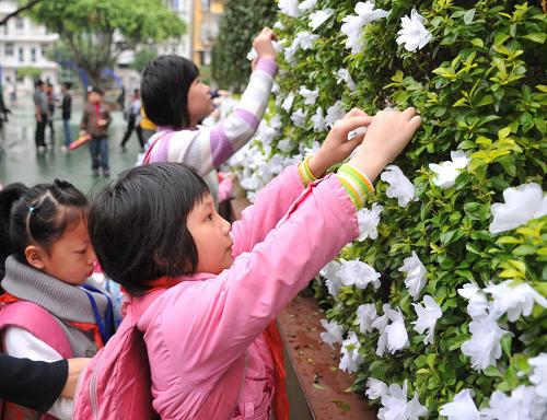 Students decorate a mourning wall with handmade white flowers during a mourning ceremony in the campus, Nanping Experimental Primary School, Nanping of Fujian Province, March24, 2010. Classes of a primary school in east China&apos;s Fujian province resumed Wednesday, a day after a man stabbed and killed eight children there, as well as injuring others. [Xinhua]