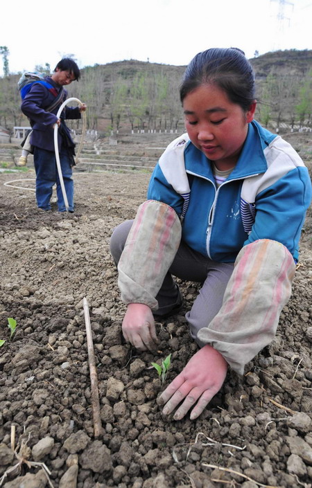 Villagers transplant the vegetable seedlings in Guanling Buyi and Miao autonomous county of Anshui city, in southwest China&apos;s Guizhou province, on March 24, 2010. The Anshun people has pulled together to protect the spring ploughing so as to minimize the damage to agriculture and animal husbandry brought on by the severe drought.[Xinhua]