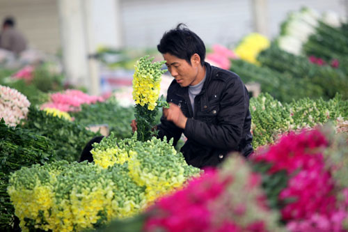 The most severe drought in about 60 years ravaged Yunnan Province, which accounted for 80% national fresh-cut market share, since last October leading to serious cut of flower production and dramatic increase prices.[Xinhua]