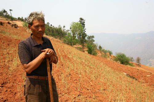 A local farmer looks at dying crop in the field in Shihuitang village of Shiping County, southwest China's Yunnan Province, March 24, 2010. The sustaining severe drought ravaged this region since last October and made no harvest of crops.[Xinhua] 