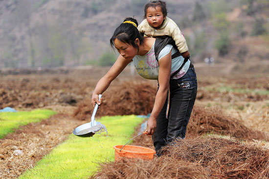 Piggybacking her kid, a woman waters rice plants in a drought-hit village in Yunnan Province, China March 26, 2010.