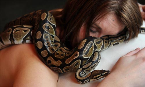 Carly Shutes, an employee from &apos;Chessington world of adventures&apos; enjoys a python massage during the launch of the theme park&apos;s new area, Wild Asia, on March 26, 2010.[Chinanews.com.cn]