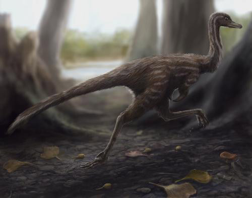 Chinese scientists have found what is believed to be one of the oldest ever fossils of the mononykus (meaning 'one claw') species of dinosaur, according to the Chinese Academy of Sciences (CAS). [Xinhua]