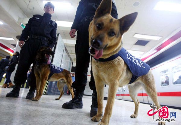 Police patrols aided with sniffer dogs are seen at Beijing&apos;s metro stations on March 30, 2010. [CFP]