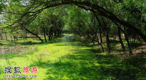 Encompassing 11.8 square kilometers, Daoxianghu Natural Wetland Park, is situated in Sujiatuo village, Haidian District, some 30 miles from downtown Beijing. [Photo:travel.sohu.com]
