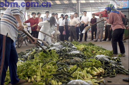 Some toxic vegetables are destroyed in Nanning, capital of Guangxi Zhuang Autonomous Region.