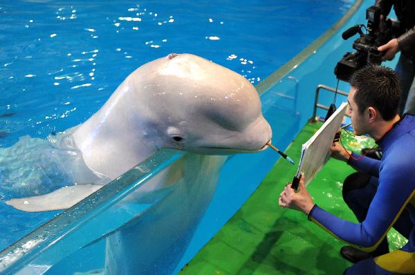 Photo taken on March 31, 2010, shows a dolphin named Xiaoqiang paint under the instructions of its tamer in an aquatic park in Qingdao, east China&apos;s Shandong Province. [Xinhua/Reuters]