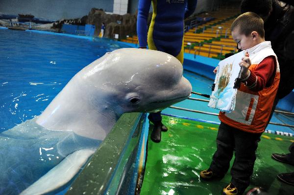 Photo taken on March 31, 2010, shows a dolphin named Xiaoqiang paint under the instructions of its tamer in an aquatic park in Qingdao, east China&apos;s Shandong Province. [Xinhua/Reuters]