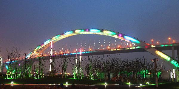 Trial illumination of pavilions marks 30 days counting-down of the Expo