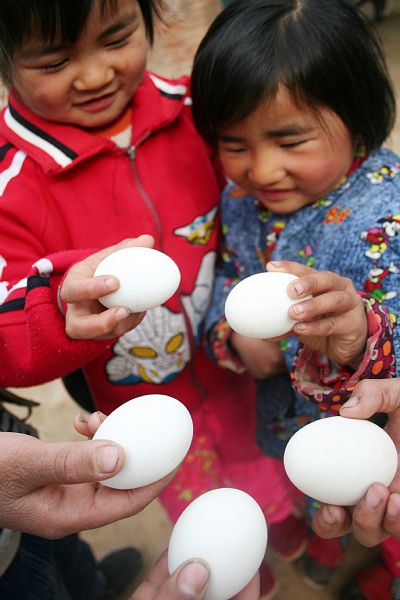 Children play a traditional game of egg collision in Heze, east China's Shandong Province, April 5, 2010. It is a local tradition to knock boiled eggs against each other on Qingming, the Tomb Sweeping Day, which falls on April 5 this year. One loses when his/her egg is cracked. [Xinhua]